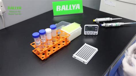 aflatoxin b1 test